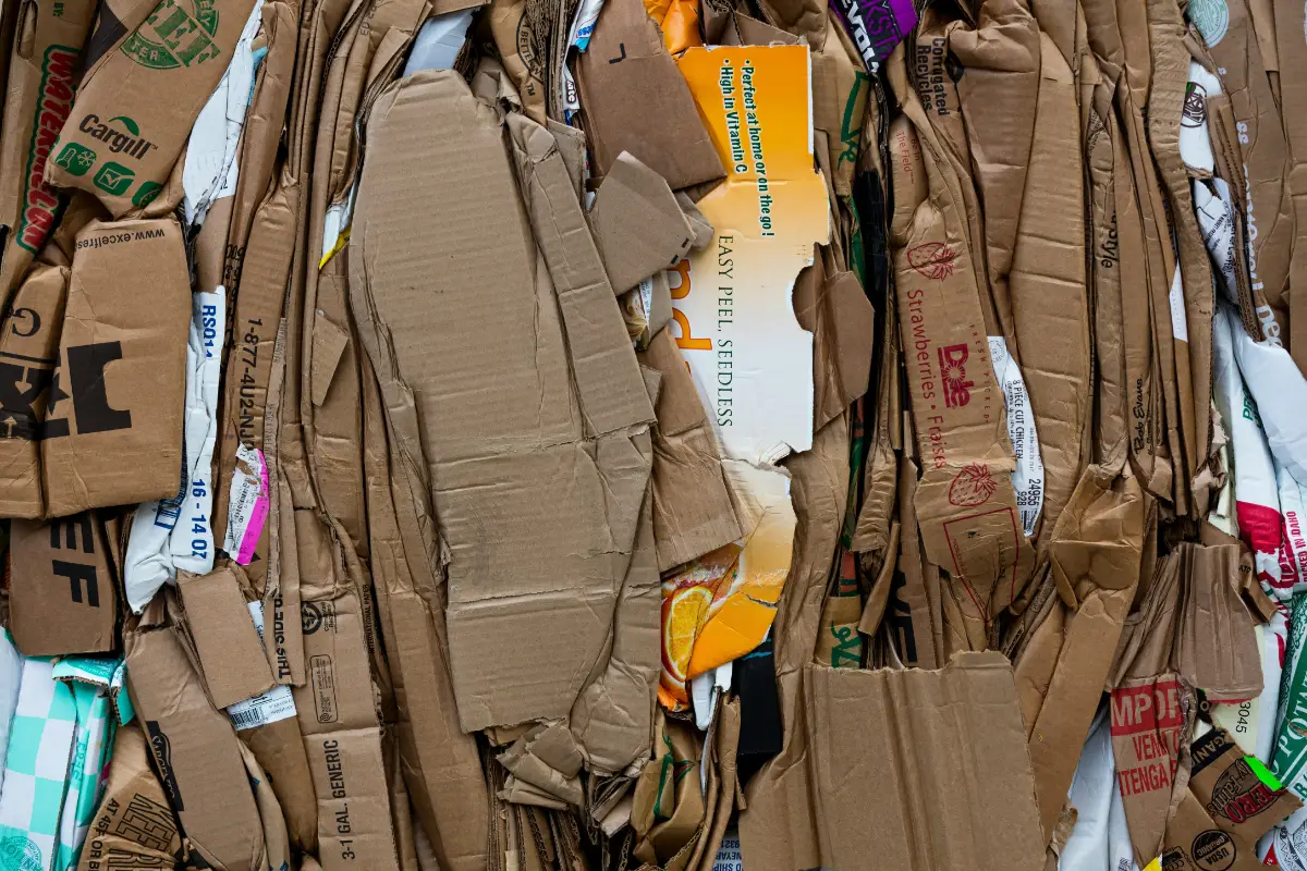 cardboard and paper recycling